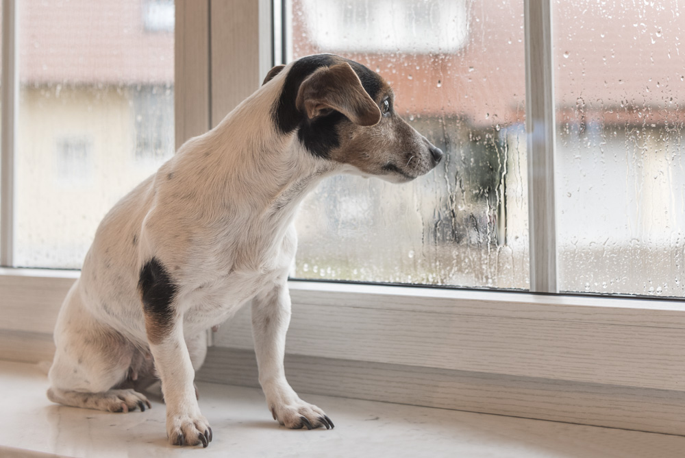 7. Platz Karoline Thalhofer